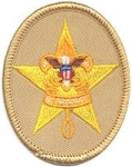Boy Scout - Star Patch