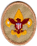 Boy Scout Tenderfoot  Patch